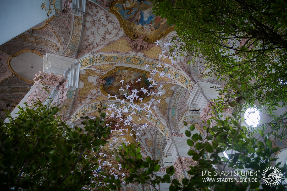 Bäume und Tauben unter dem barocken Kirchengewölbe